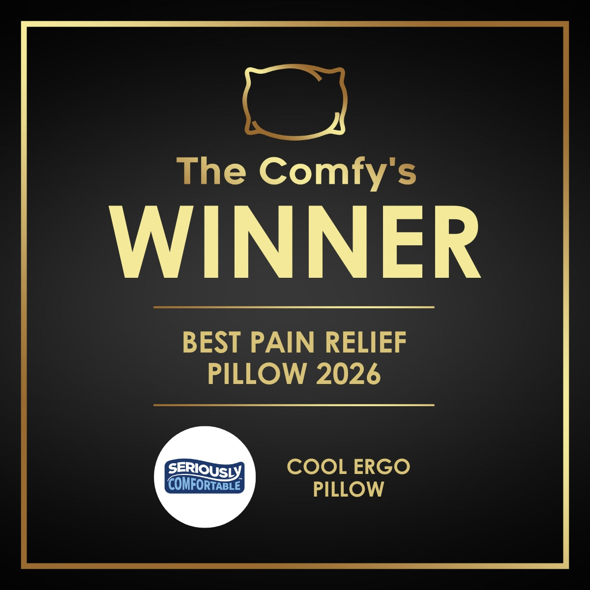 Cool & Cosy Ergo Pain Relief Pillow
