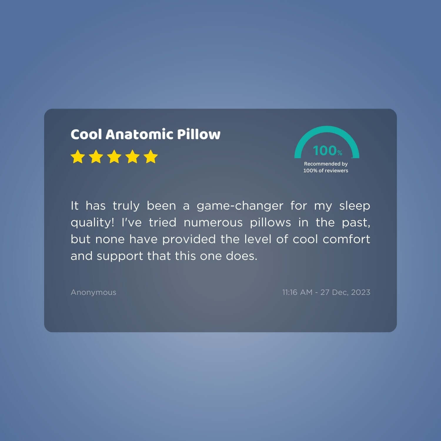 Cool Anatomic Pain Relief Pillow